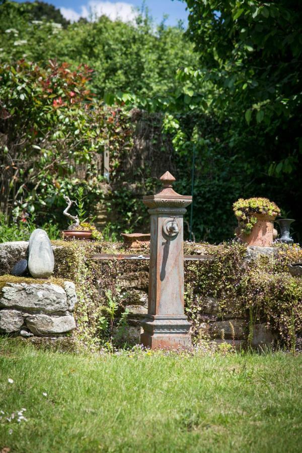 Bed and Breakfast Les Dames De Nage Grand-Champ Esterno foto